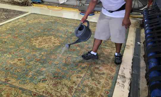 Rug Cleaners Services