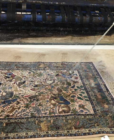 Chinese Rug Cleaners