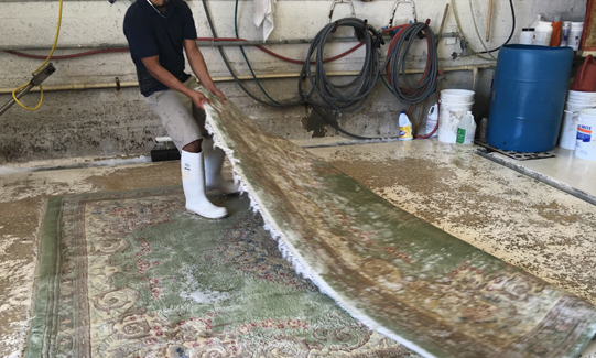 Persian Rug Cleaners Boca Raton