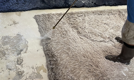 Wool Rug Cleaners Services Company