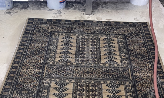 Cleaners Area Rugs