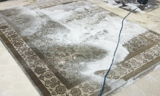 Rug Cleaners Services Boca Raton