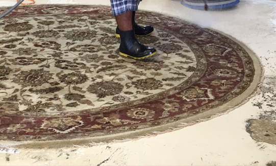 Oriental Rug Cleaners by Hand